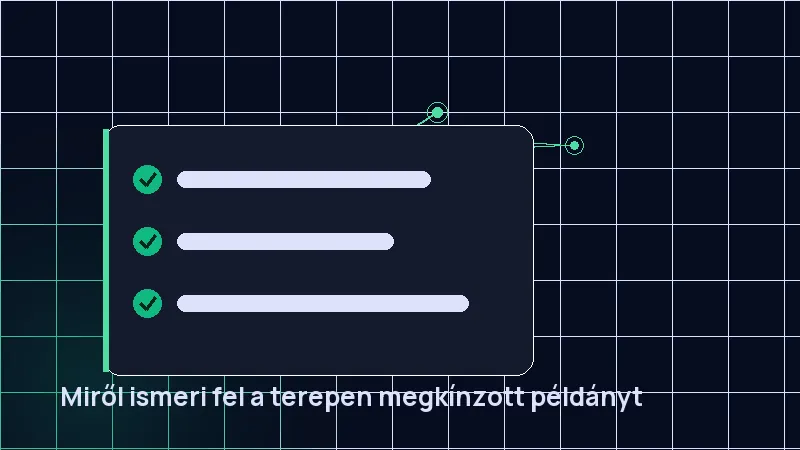 Miről ismeri fel a terepen megkínzott példányt
